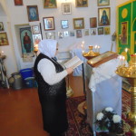DSC00729