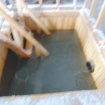 DSC00761